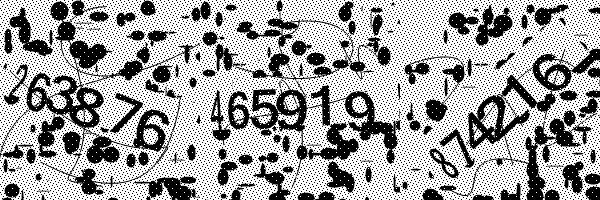 6259befa88e4a313874797.jpeg
