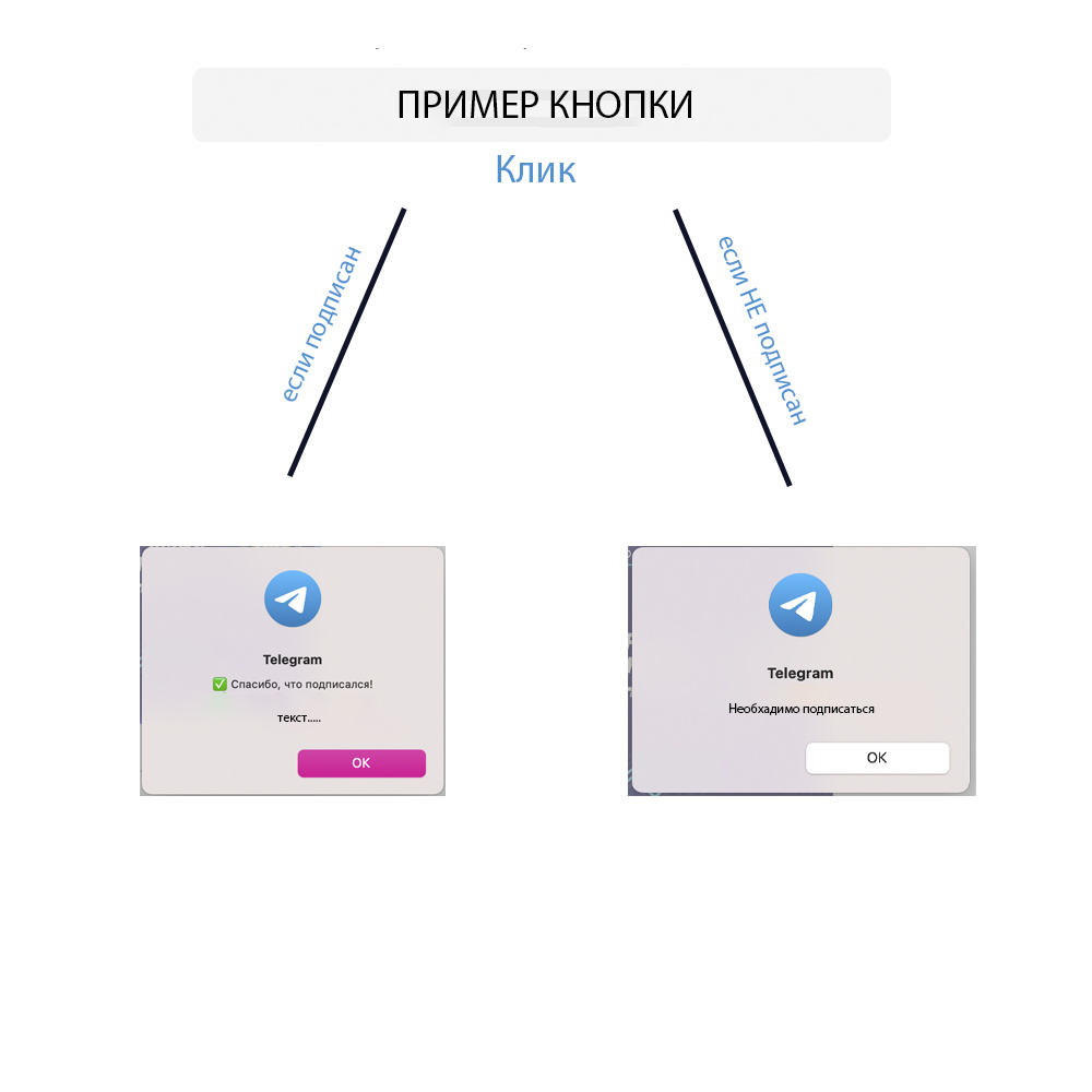 5fa517b7763bb412366800.jpeg