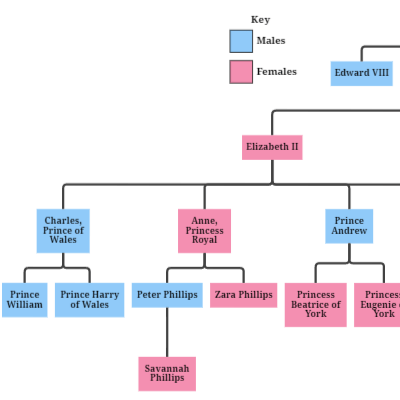 familyTree.png