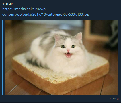 5c6fb7931eed1836105739.png