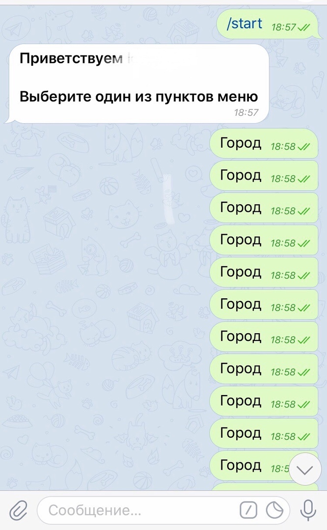 nPGtj5eG2T8.jpg
