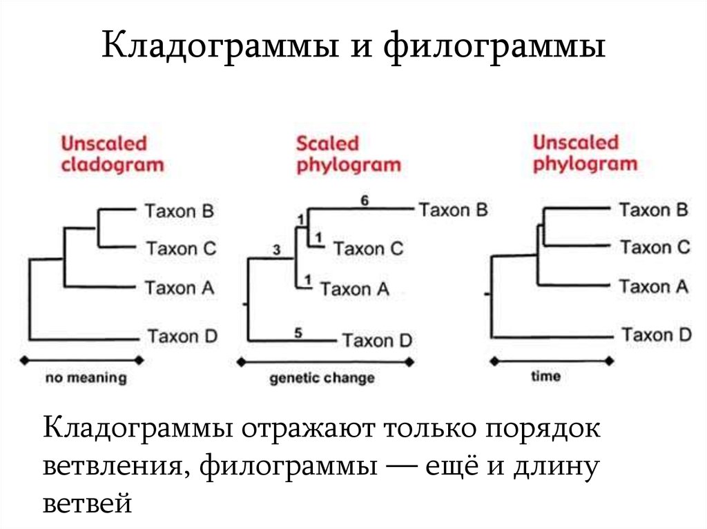 slide-3.jpg