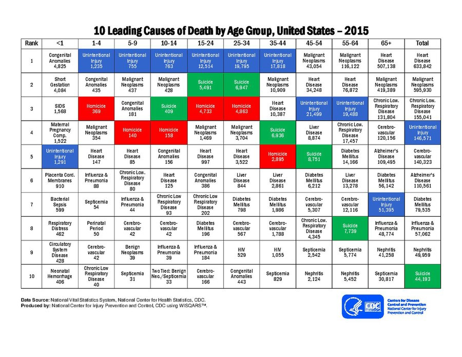 page1-900px-10_leading_causes_of_death_by_age_group_2015-USA.pdf.jpg