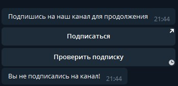 617ad459177d2526078292.jpeg
