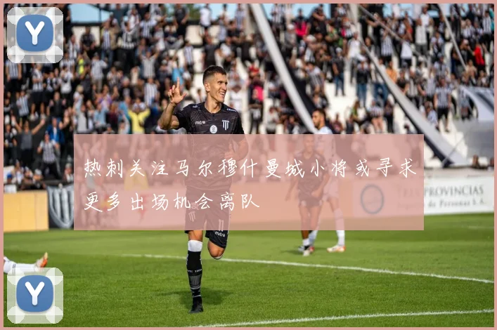 热刺关注马尔穆什曼城小将或寻求更多出场机会离队