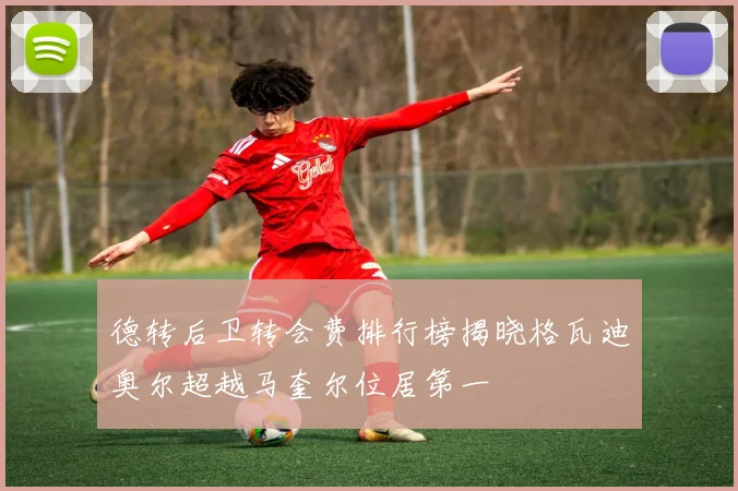 德转后卫转会费排行榜揭晓格瓦迪奥尔超越马奎尔位居第一
