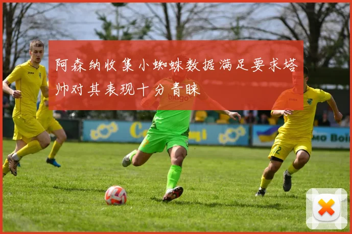 阿森纳收集小蜘蛛数据满足要求塔帅对其表现十分青睐