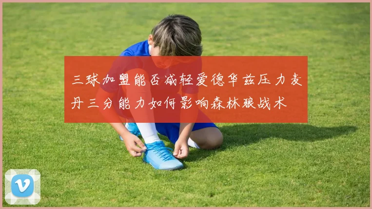 三球加盟能否减轻爱德华兹压力麦丹三分能力如何影响森林狼战术