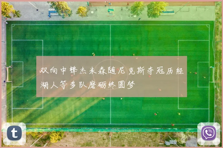 双向中锋杰米森随尼克斯夺冠历经湖人等多队磨砺终圆梦
