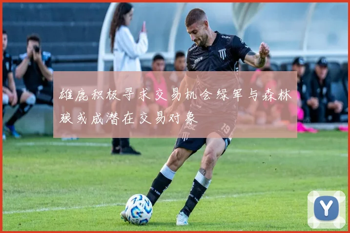 雄鹿积极寻求交易机会绿军与森林狼或成潜在交易对象